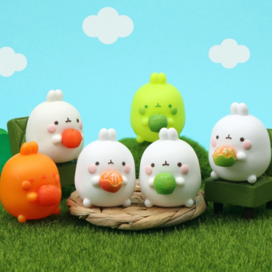Molang Tangerine Field Random Blind Box Figures | UK Kpop Shop