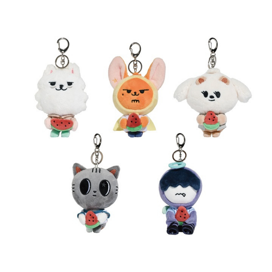 TXT PPULBATU SUMMER TOGETHER Plush Keyring UK Kpop Shop with Photocard