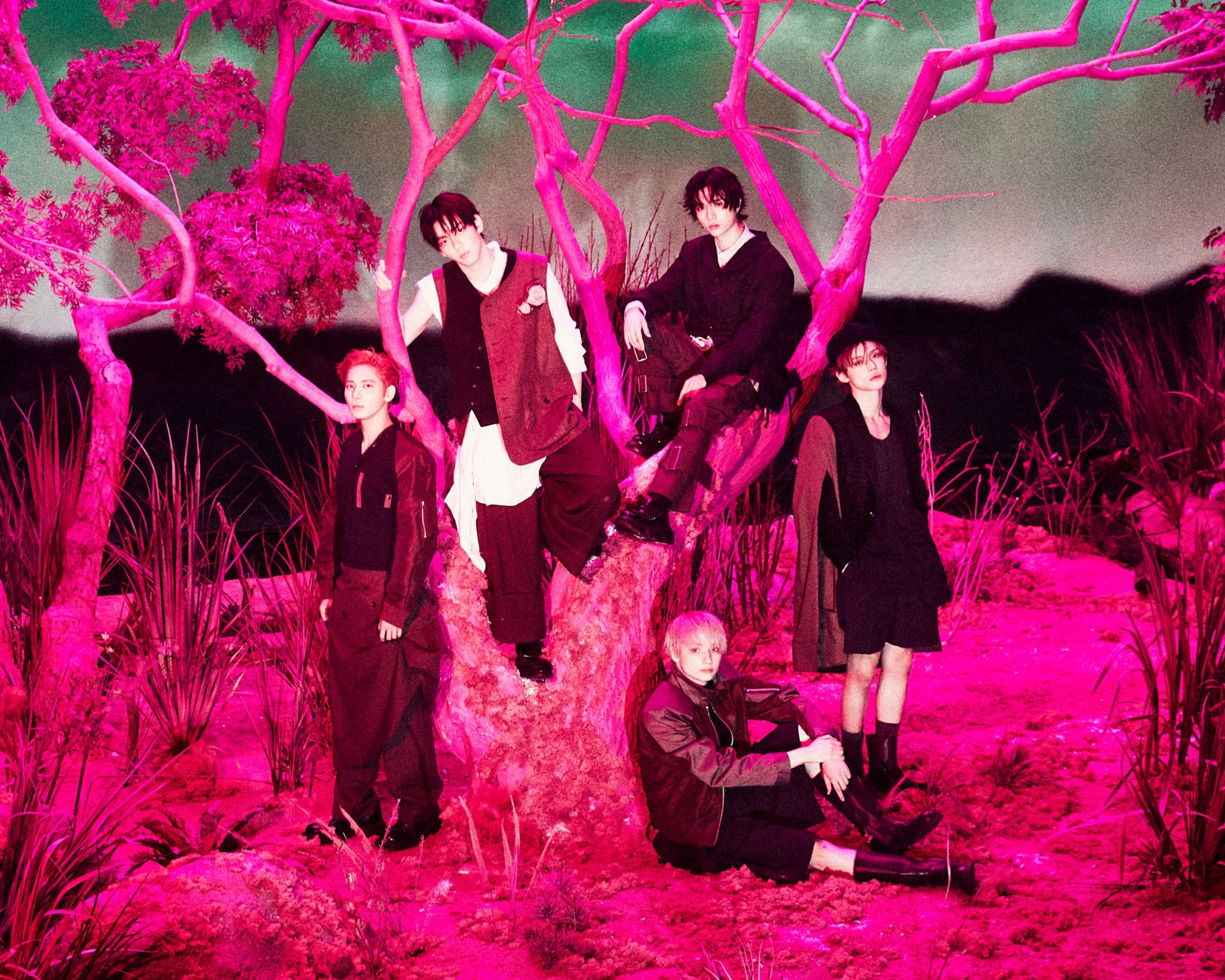 TXT COMEBACK 7TH YEAR: A Moment of Stillness in the Thorns Weverse Photocard POB. Free UK Shipping for TOMORROW X TOGETHER albums from UK Kpop Shop chuchucherry with Weverse Gift pre-order benefit. K-pop CD albums. SOKOLLAB. Korean merch for MOA from HYBE Boy Group. COKODIVE & KSTARS customers shop from here.