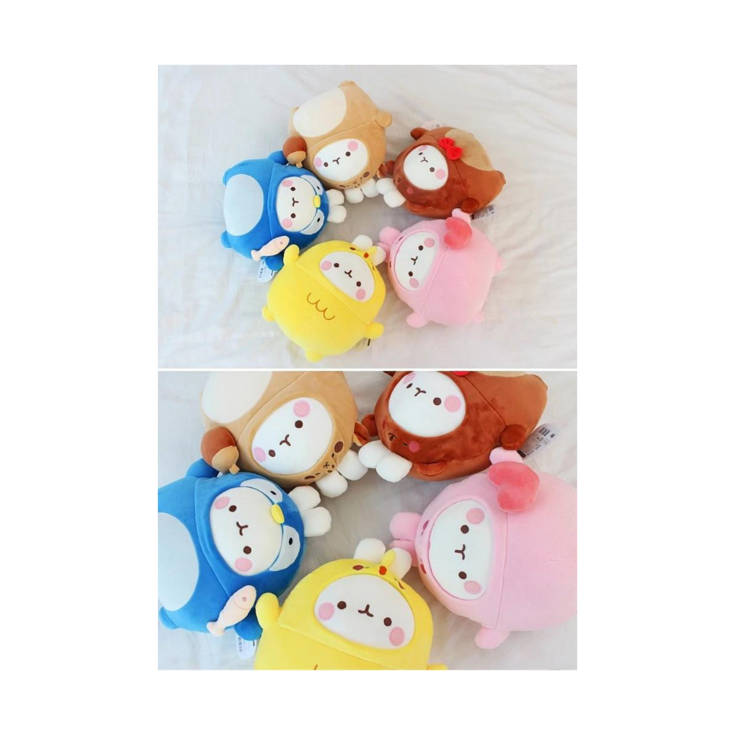 TXT Molang